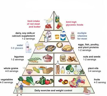 High Fiber and the New Food Pyramid