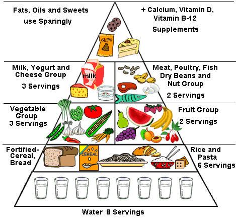 food pyramid, senior