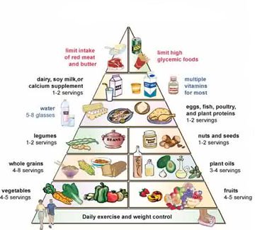 High Fiber and the New Food Pyramid